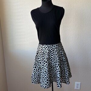 DVF Diane von Furstenberg Leopard Print Fit & Flare Dress Size 4